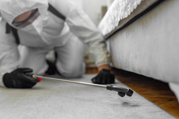 Professional Termite Control technician working in Vails Gate, NY